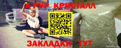 прущие грибы Донской