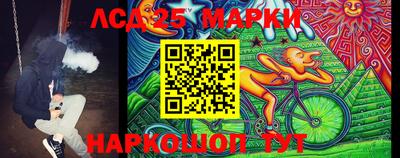 стафф Дубна