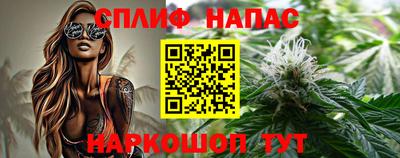 стафф Дубна