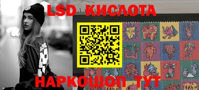 стафф Дубна
