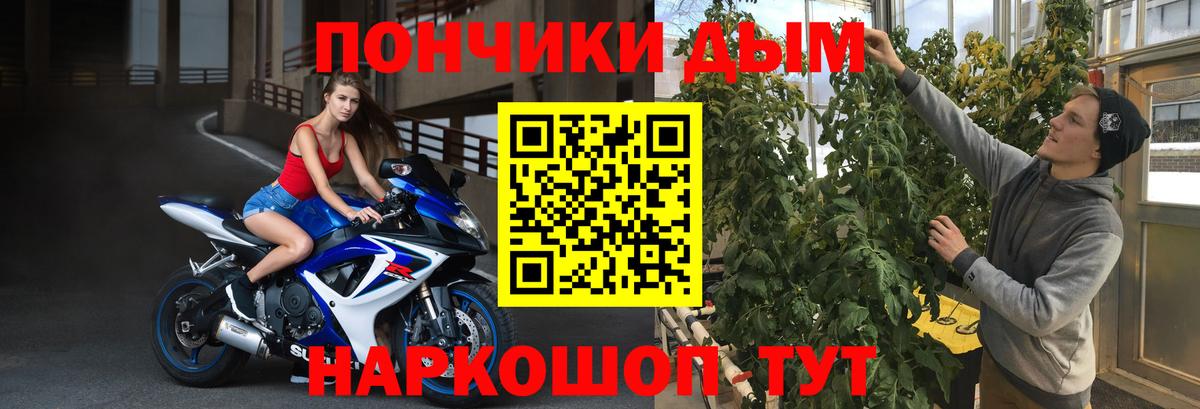 Каннабис ГИДРОПОН Курчалой