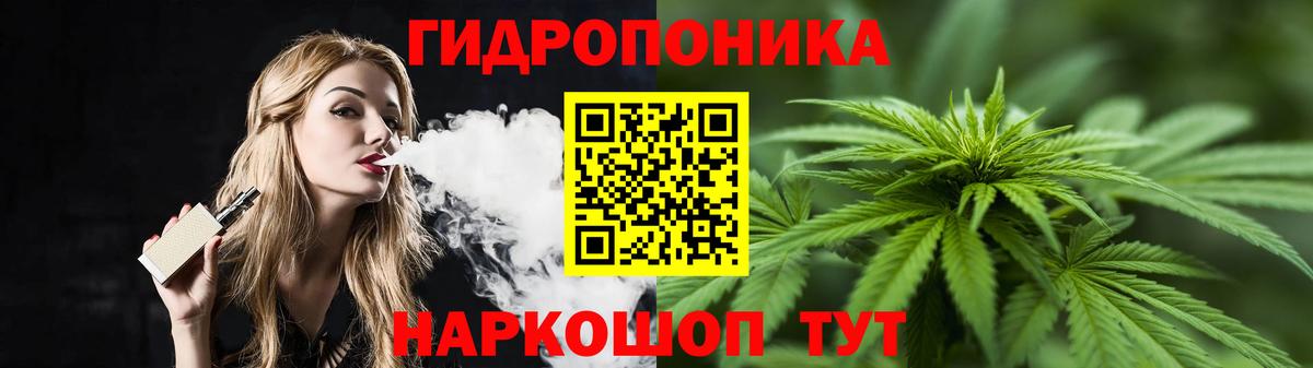 Конопля индика  Вход с VPN  Канабис план  Курчалой  Бошки марихуана индика 